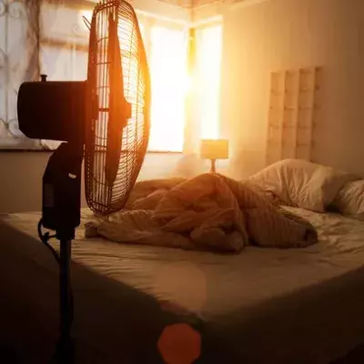 Fan