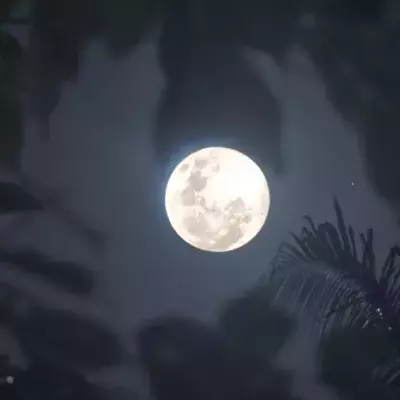 full moon affects sleep