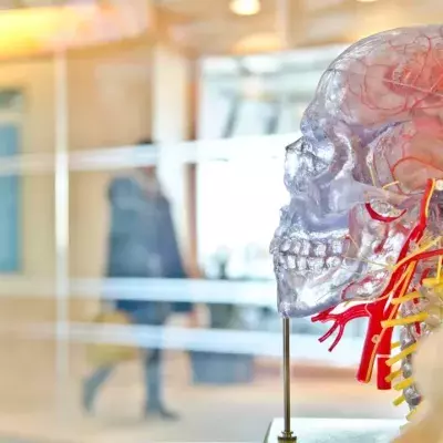 new brain implant treating cognitive impairments from traumatic brain injuries.