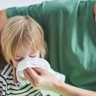 Nose mucus snot source 