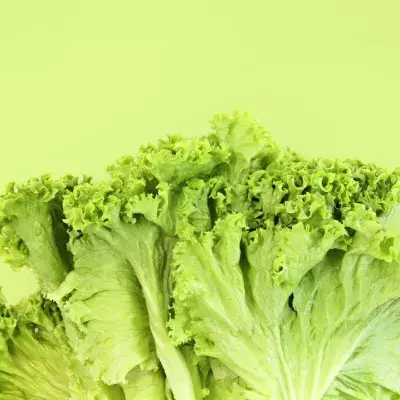 Struggling To Sleep? This TikTok Lettuce Hack Can Cure Insomnia