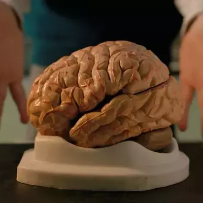 study reveals phenomenon brain happens before death surprising health