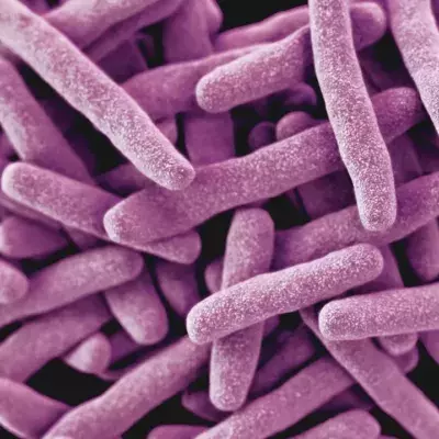 Tuberculosis and COVID: What are the different symptoms?