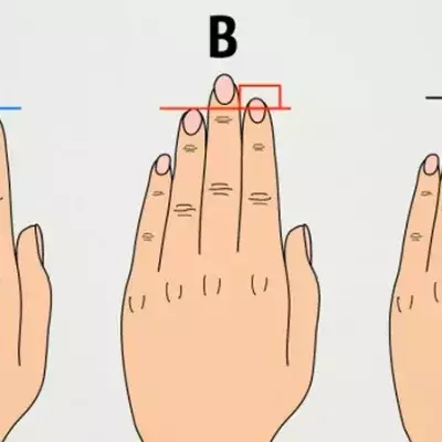 fingers