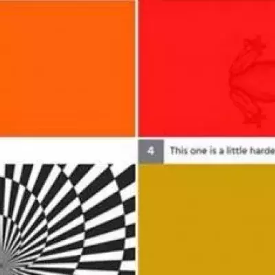 illusions