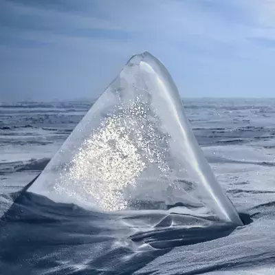 Optical illusion: donkey, mermaid, seal, what does what you see say about you?