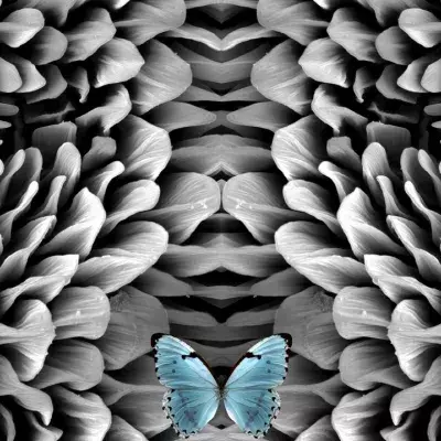 Optical Illusion