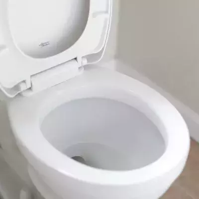 Toilet seat 