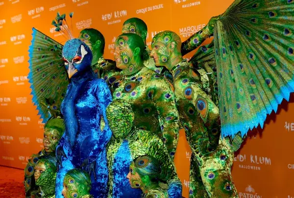 Dressed as a peacock in 2023