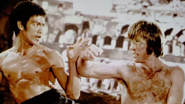 There is no chin behind Chuck Norris’ beard. There is only another fist.
