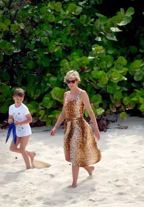 Lady Diana on the beach       