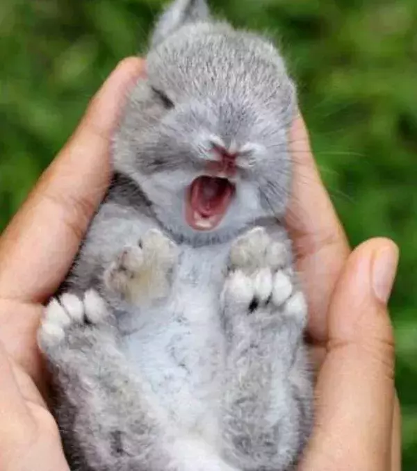 We want one!