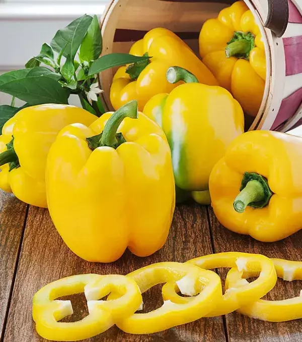 10: Yellow peppers contain more vitamin C than oranges. It is a great source of antioxidants and will help promote hair growth.