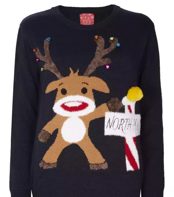 This is too cute! Find this adorable reindeer jumper at Primark for only £16 - that deal is unbeatable!