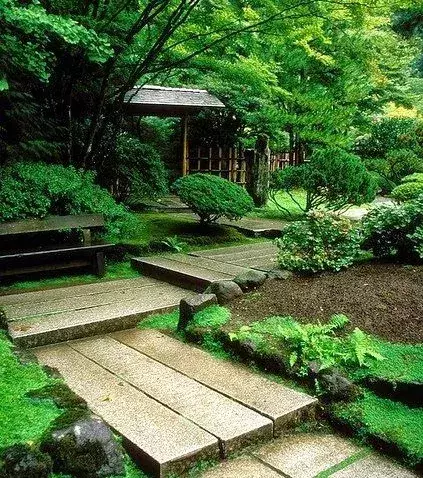 Choose plants that are suitable for the zen garden. Suitable plants include flowering plum trees, Azaleas, Wisterias, Bamboo, Iris, and Lotus. Plants that can last through the cold temperatures are the best.