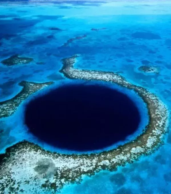 The deepest part of the world's ocean is called the Mariana's trench! The depth is about 10,994 meters! It's located near Guam.