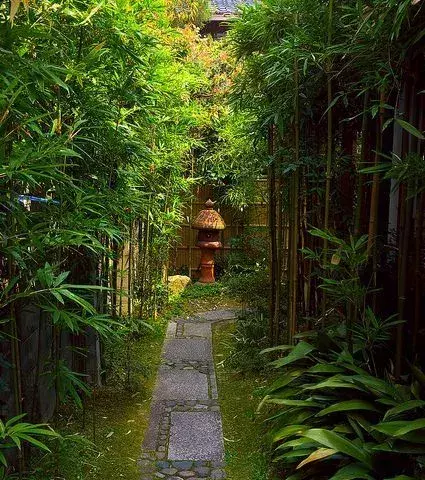 By following these simple steps your garden will be closer to becoming a true zen garden!