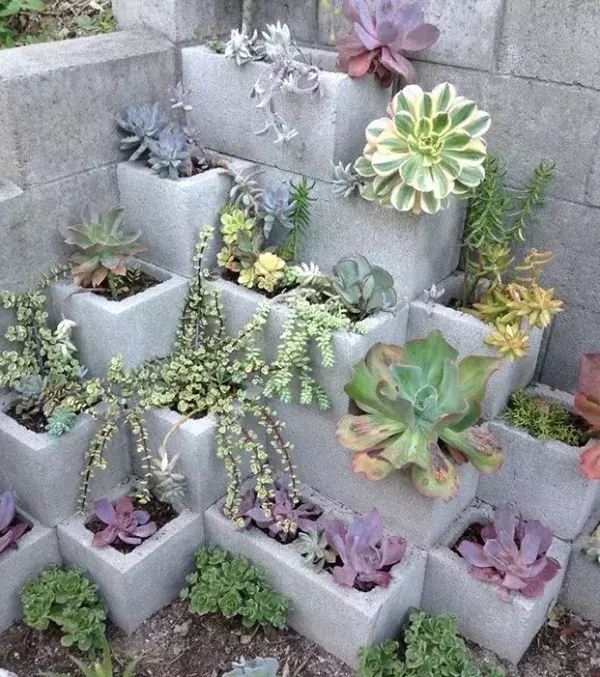 Here's another creative way to arrange your breeze blocks in your garden!