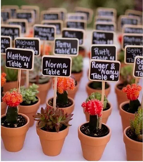 Small plants as wedding favours