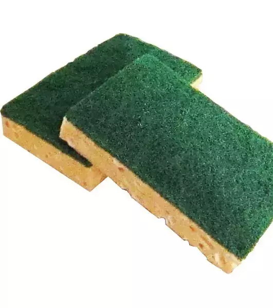 Sponge: You should replace your sponge every two weeks. The sponge can get extremely filthy and smelly.
