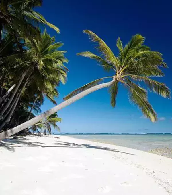 There is a small island called Cocos Island that you can visit. They used this island to help re-establish the endemic Guam Rail birds.