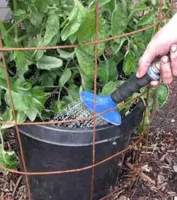 You should add water to the soil slowly. The soil should always remain moist and if it is too dry then add more water as needed.