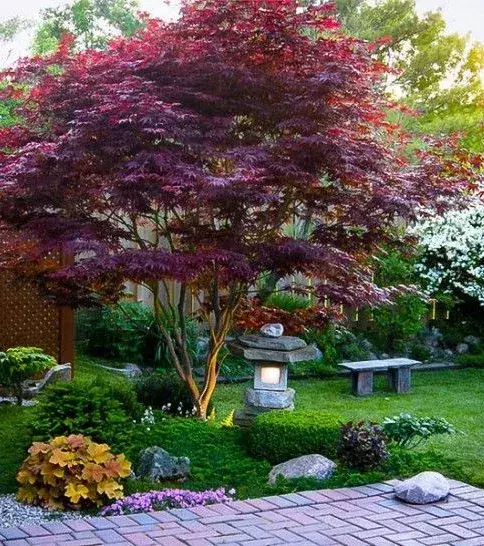 A zen garden should include a lot of vegetation. Remember, you are part of mother nature and must surround yourself with the plants and peaceful outdoors.